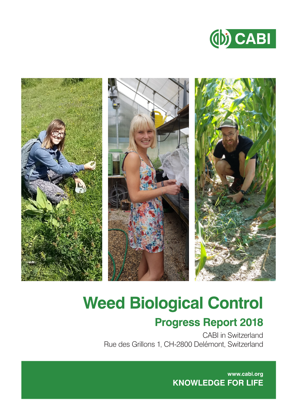 Weed Biological Control Progress Report (2018)