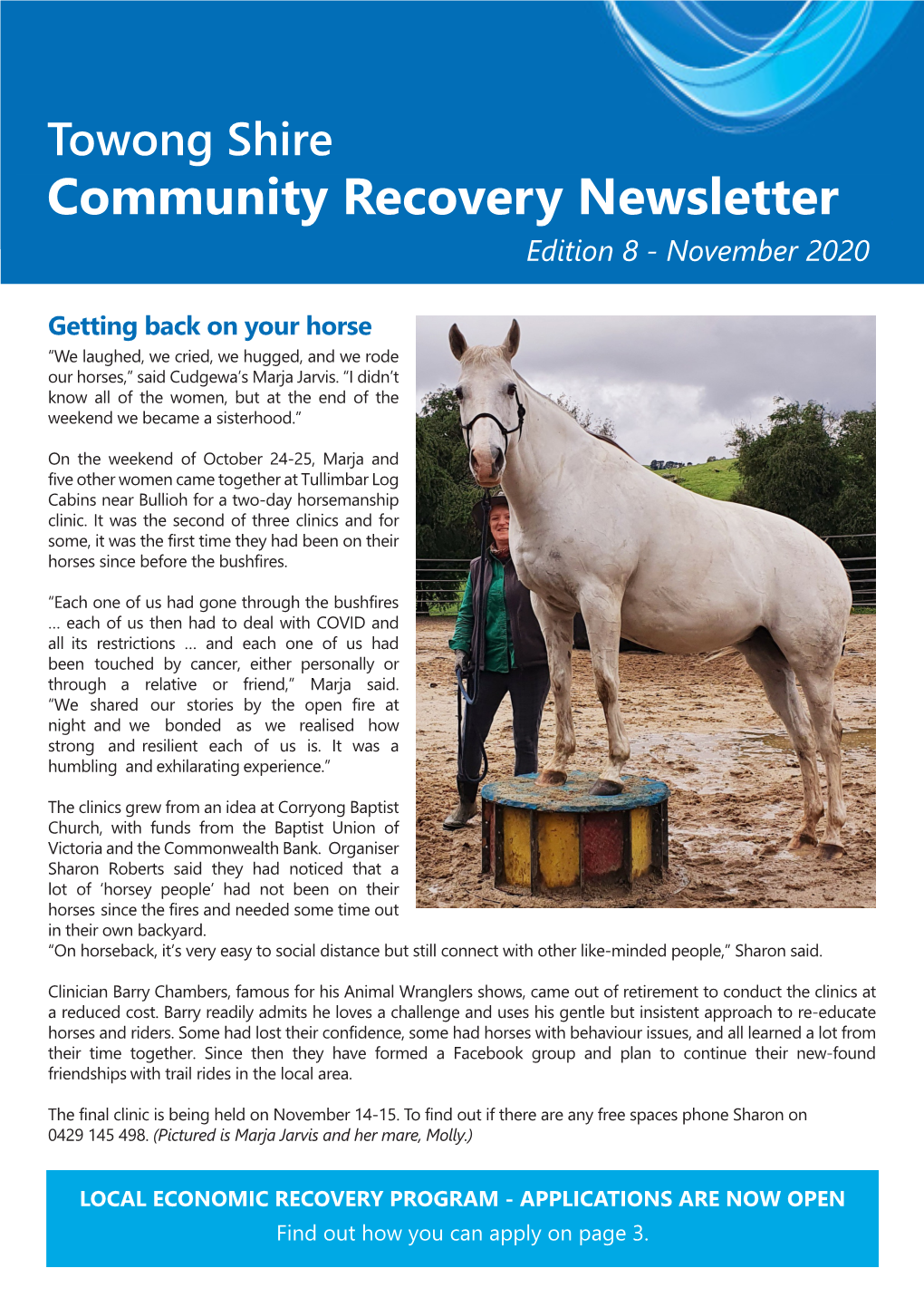 Towong Shire Community Recovery Newsletter Edition 8 - November 2020