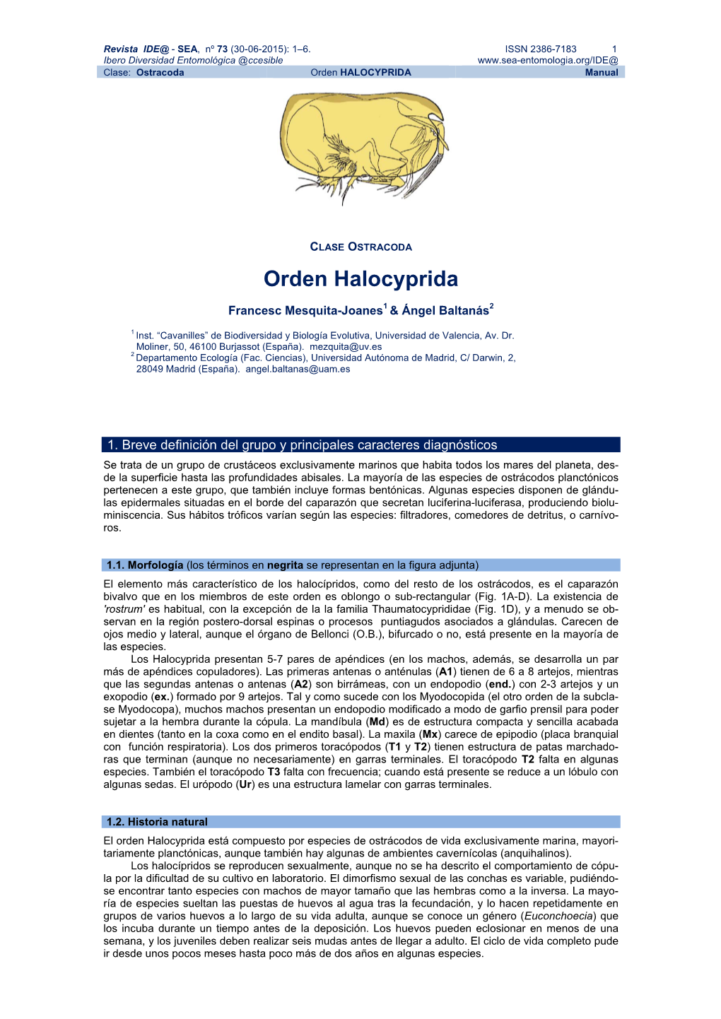 Orden HALOCYPRIDA Manual