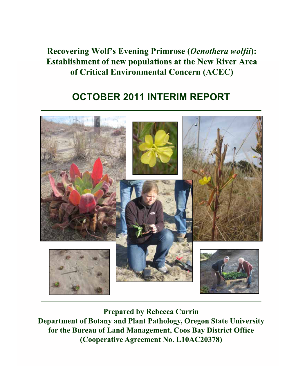 October 2011 Interim Report