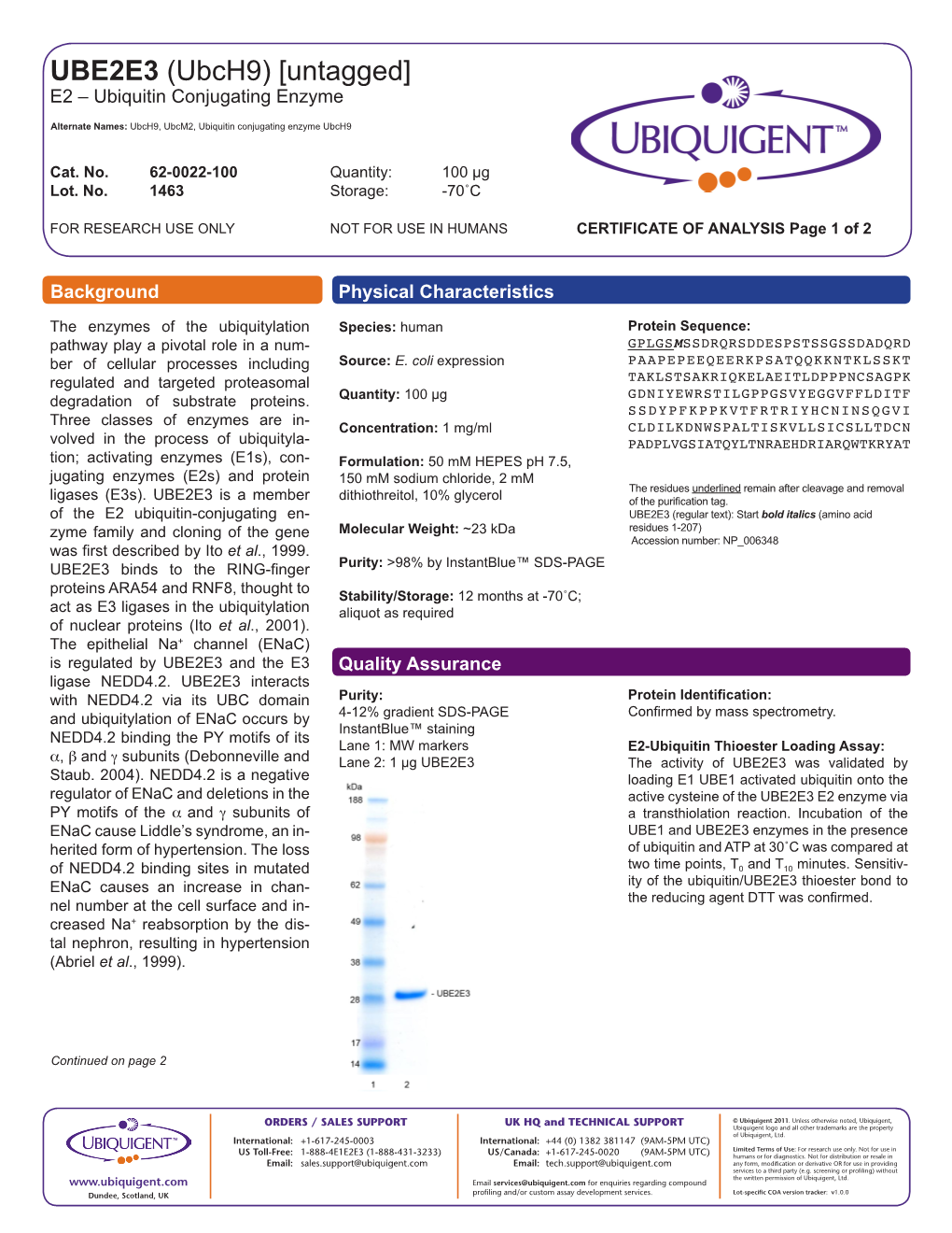 UBE2E3 (Ubch9) [Untagged] E2 – Ubiquitin Conjugating Enzyme