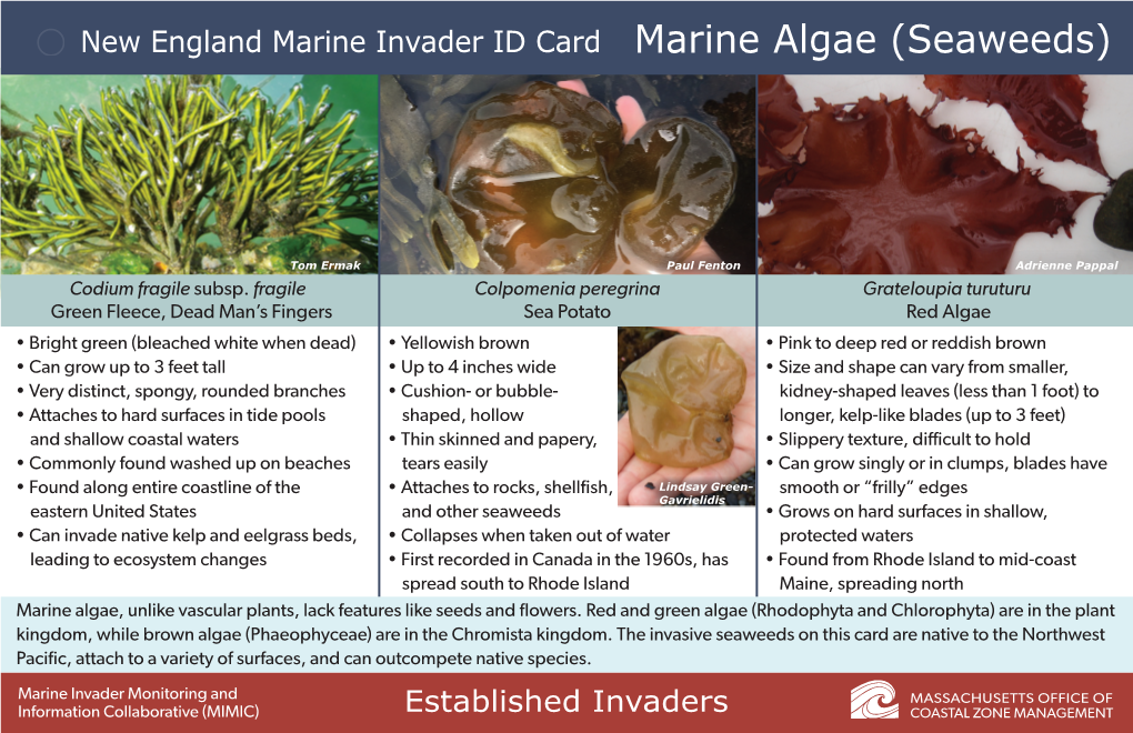 New England Marine Invader ID Cards