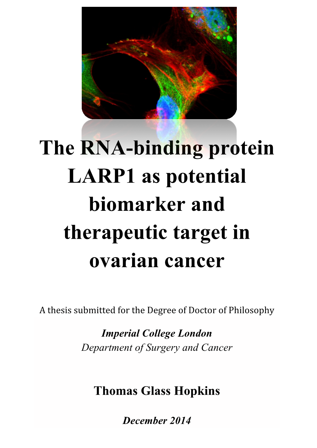 The RNA-Binding Protein LARP1 As Potential Biomarker and Therapeutic Target in Ovarian Cancer