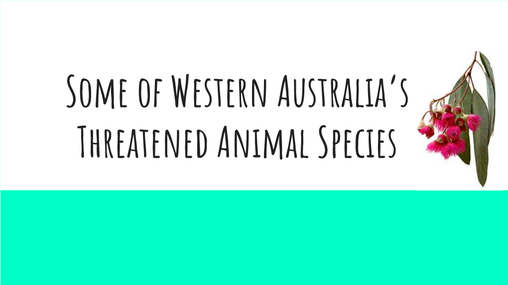 Some of Western Australia's Threatened Animal Species