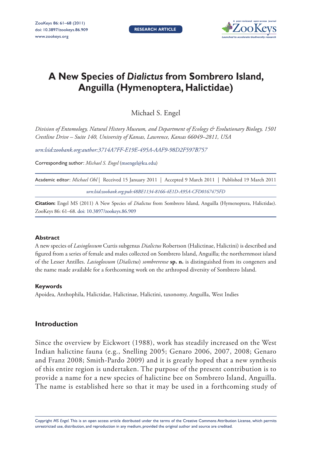 A New Species of Dialictus from Sombrero Island, Anguilla (Hymenoptera, Halictidae)