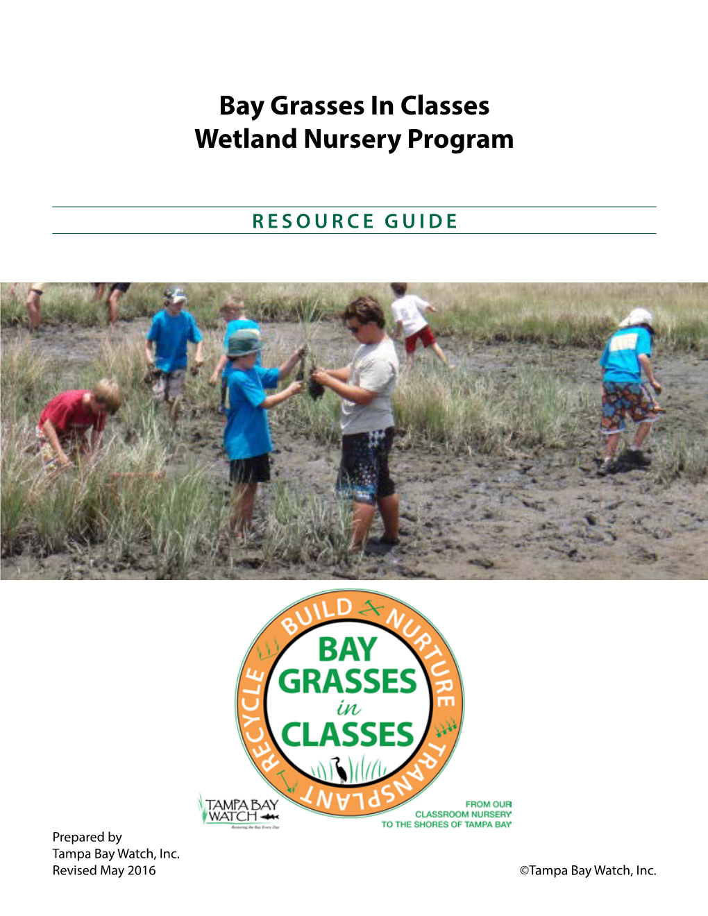 Bay Grasses in Classes Wetland Nursery Program