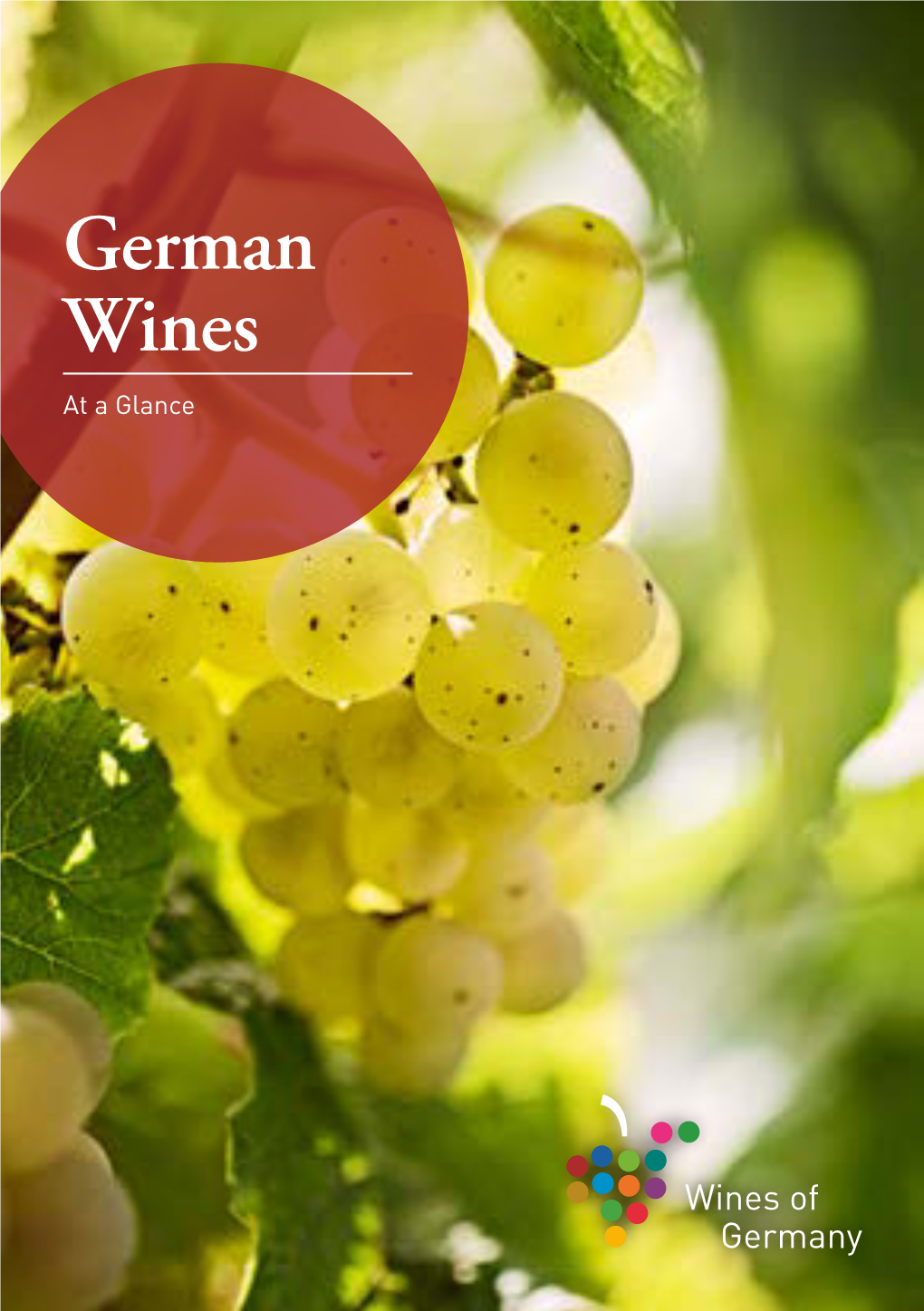 German Wines at a Glance 2 the Best of the Modern and Traditional