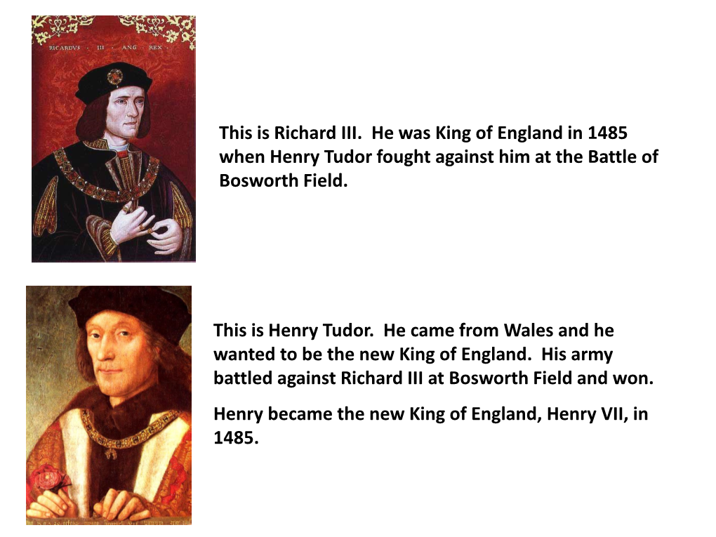 Tudor Knights and Coats of Arms