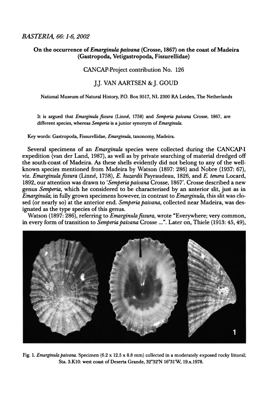 BASTERIA, 66:1-6, 2002 Specimens Emarginula Species During The