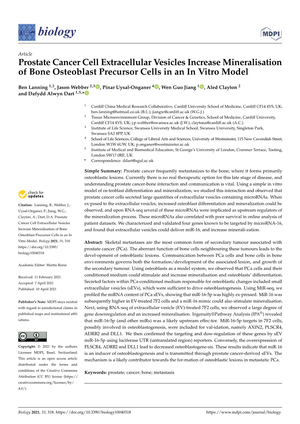 Prostate Cancer Cell Extracellular Vesicles Increase Mineralisation of Bone Osteoblast Precursor Cells in an in Vitro Model