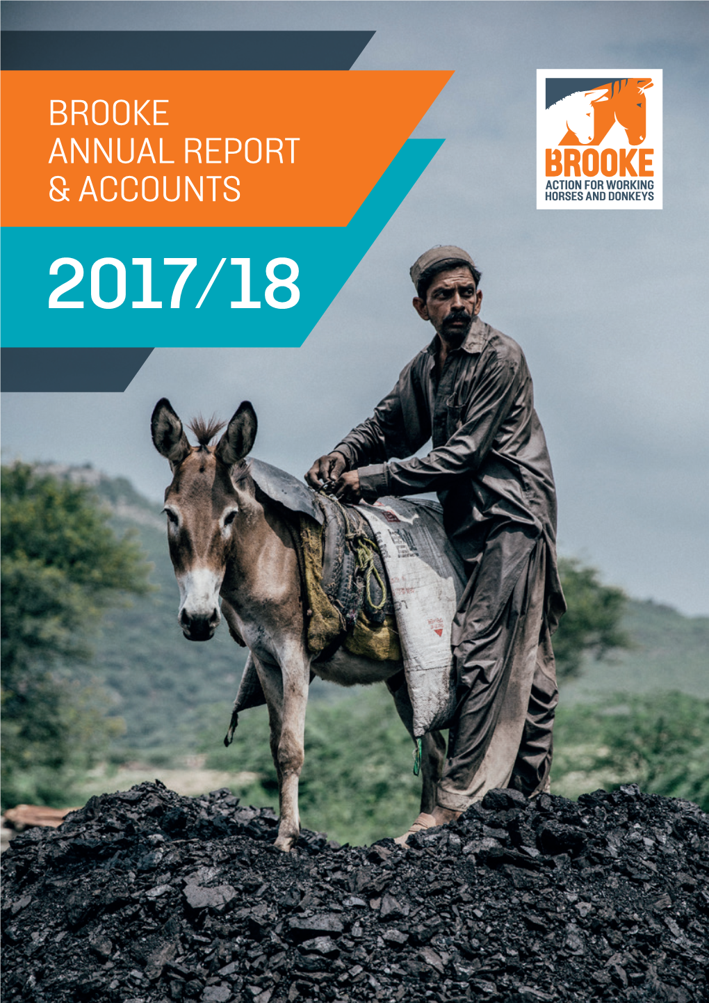 Annual Report and Accounts 2017-18
