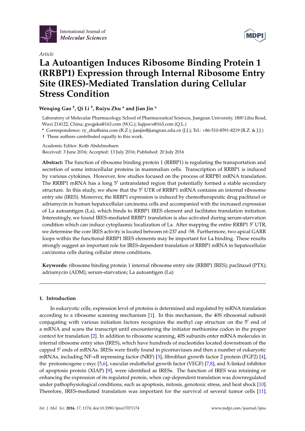 (RRBP1) Expression Through Internal Ribosome Entry Site (IRES)-Mediated Translation During Cellular Stress Condition