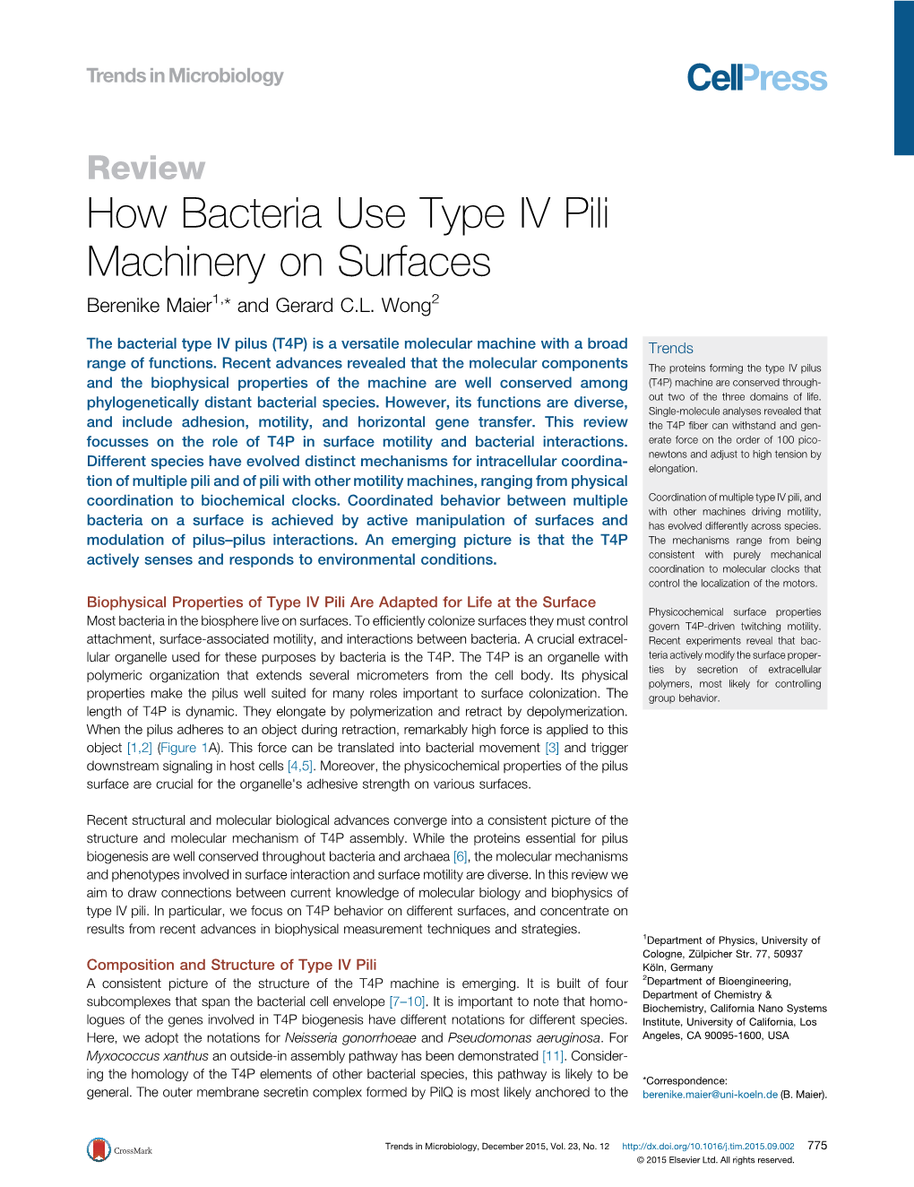 How Bacteria Use Type IV Pili Machinery on Surfaces