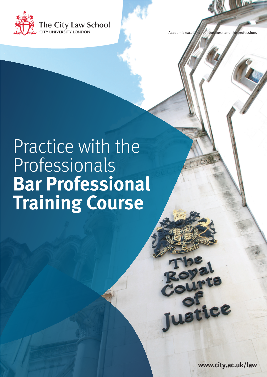Practice with the Professionals Bar Professional Training Course