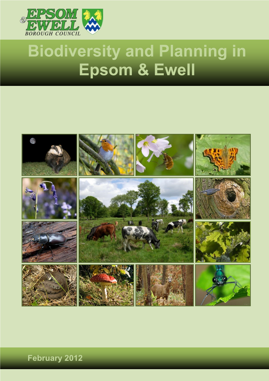 Biodiversity and Planning in Epsom & Ewell