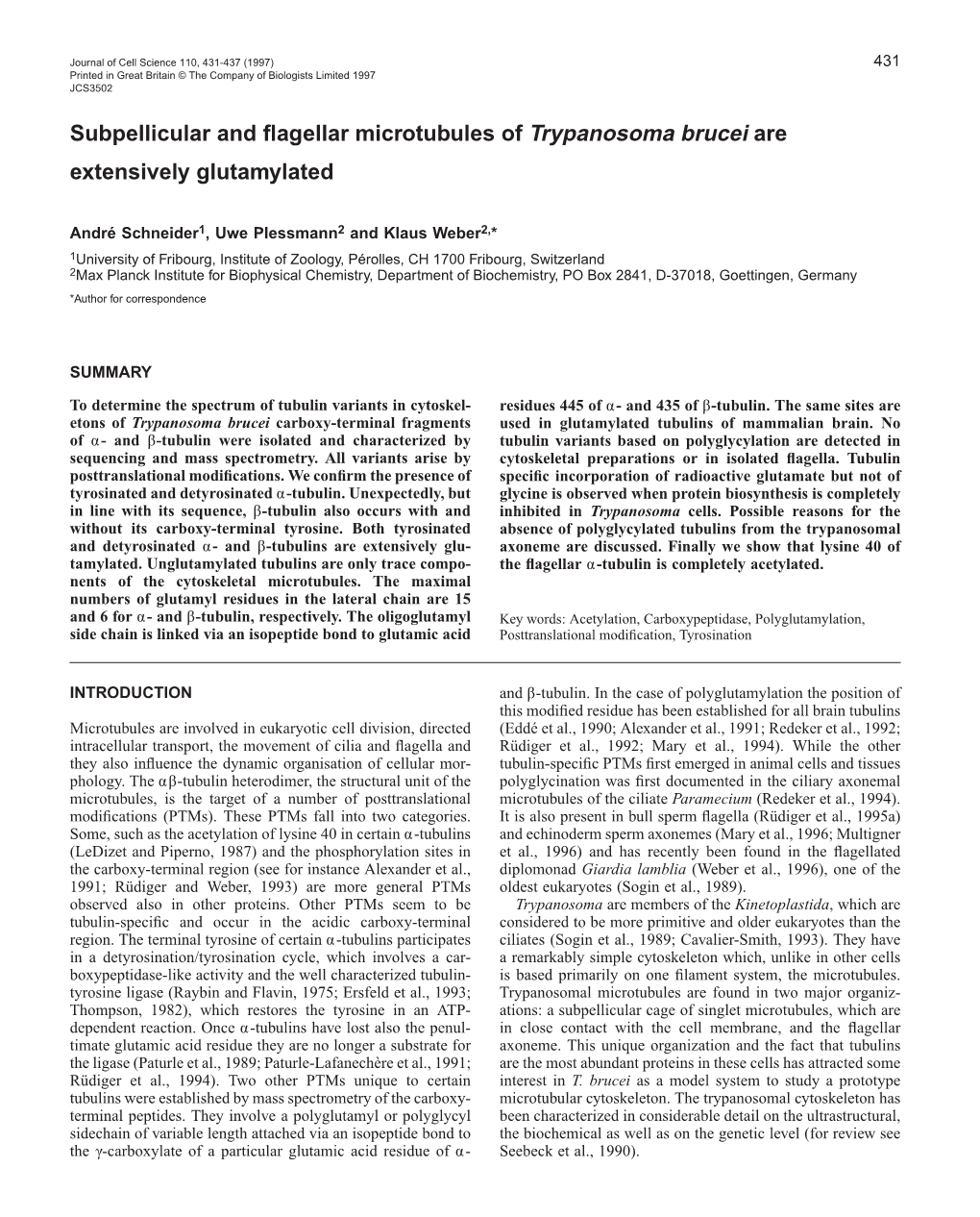 Subpellicular and Flagellar Microtubules of Trypanosoma