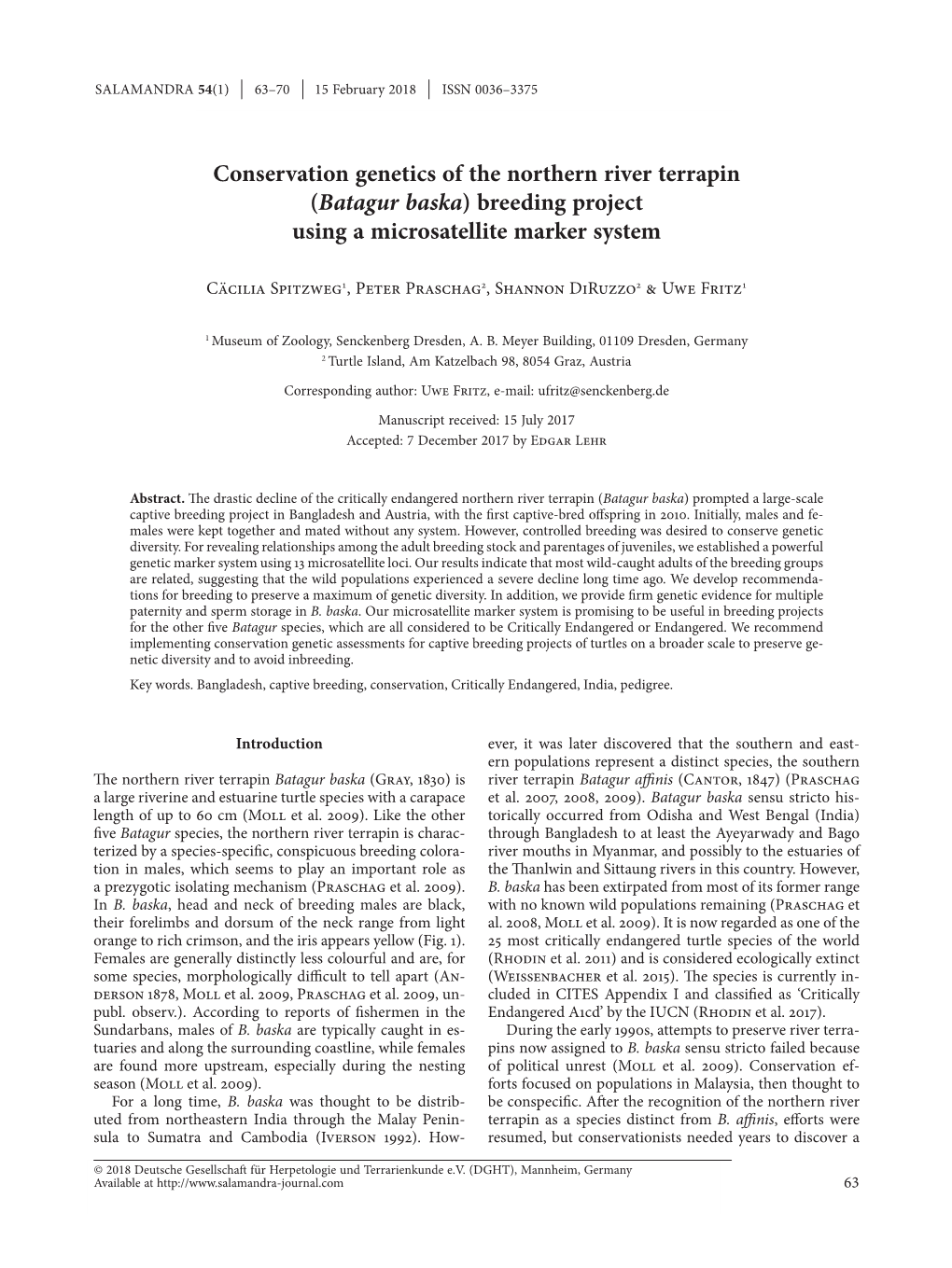 Conservation Genetics of the Northern River Terrapin (Batagur Baska) Breeding Project Using a Microsatellite Marker System