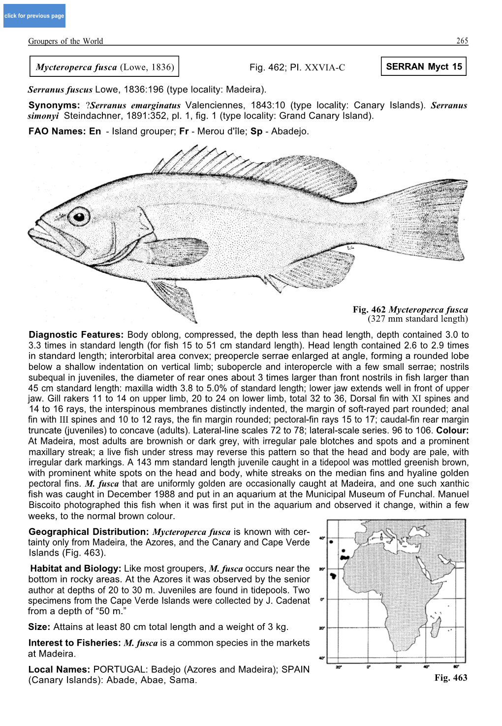 Type Locality: Madeira). Synonyms: ?Serranus Emarginatus Valenciennes, 1843:10 (Type Locality: Canary Islands