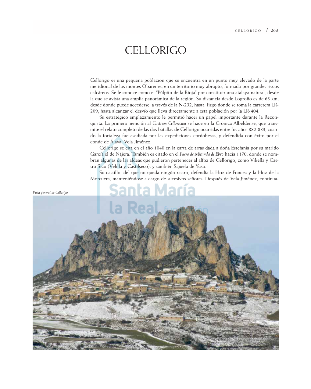 Cellorigo / 263