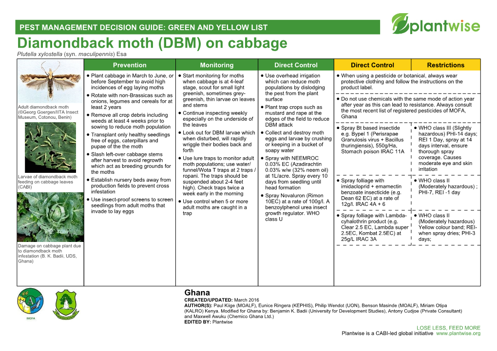 Diamondback Moth (DBM) on Cabbage Plutella Xylostella (Syn