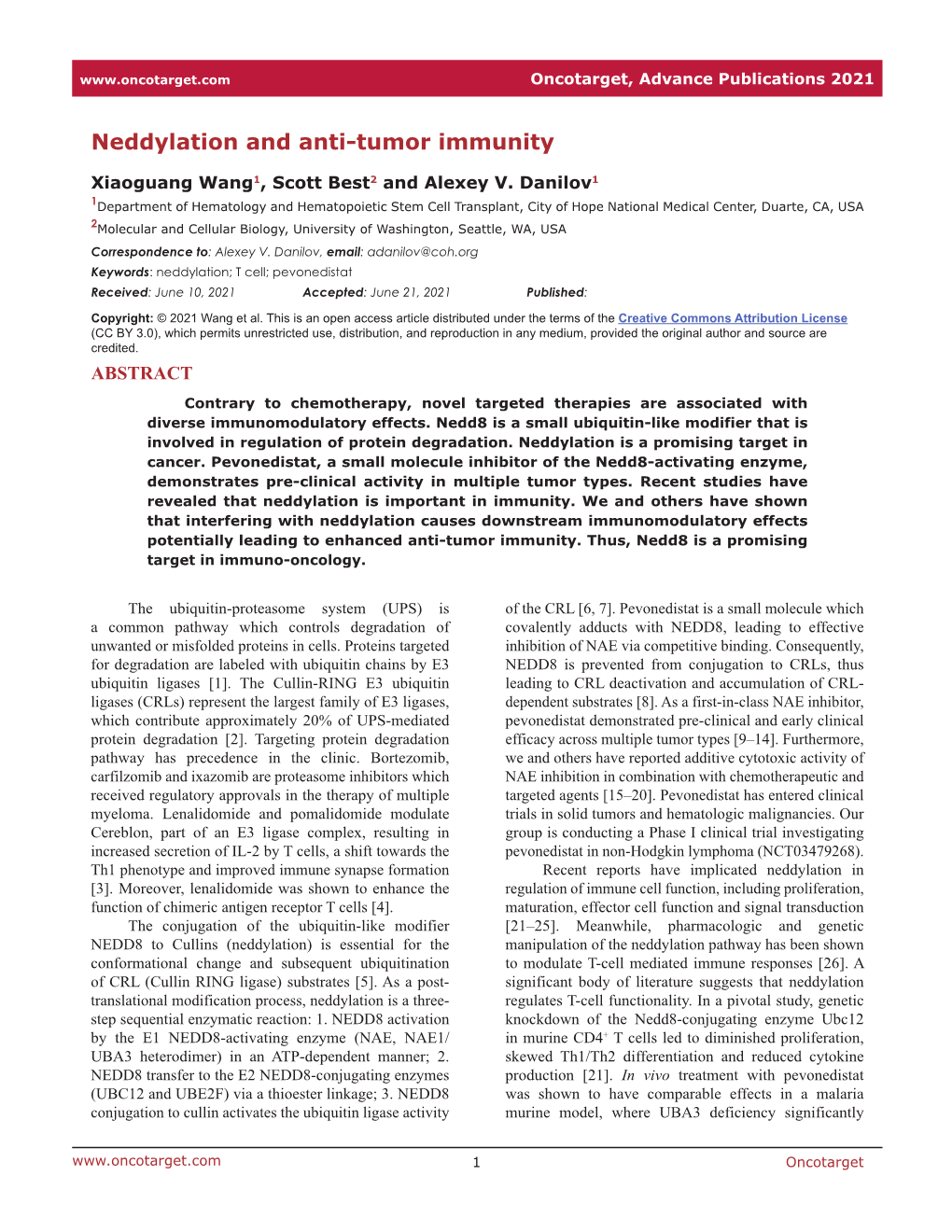 Neddylation and Anti-Tumor Immunity