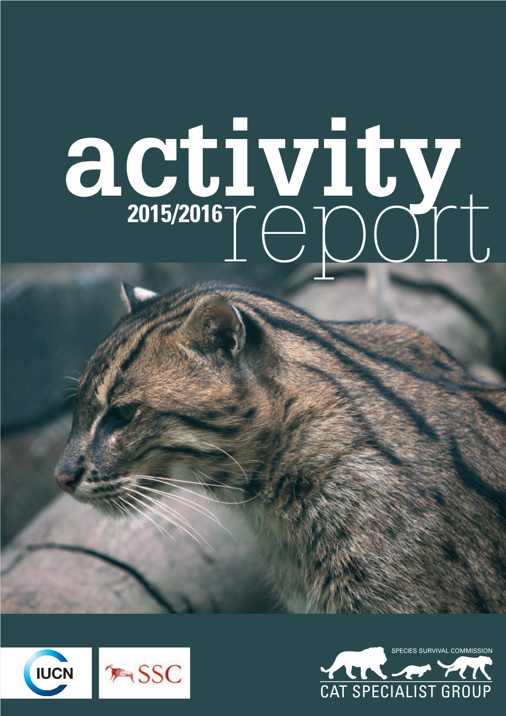 Activity Report 2015/2016 02