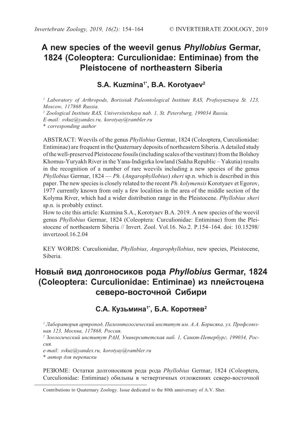 A New Species of the Weevil Genus Phyllobius Germar, 1824 (Coleoptera: Curculionidae: Entiminae) from the Pleistocene of Northeastern Siberia