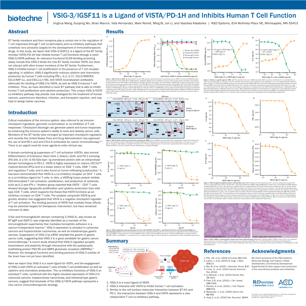 VSIG-3/IGSF11 Is a Ligand of VISTA/PD-1H and Inhibits Human T Cell Function