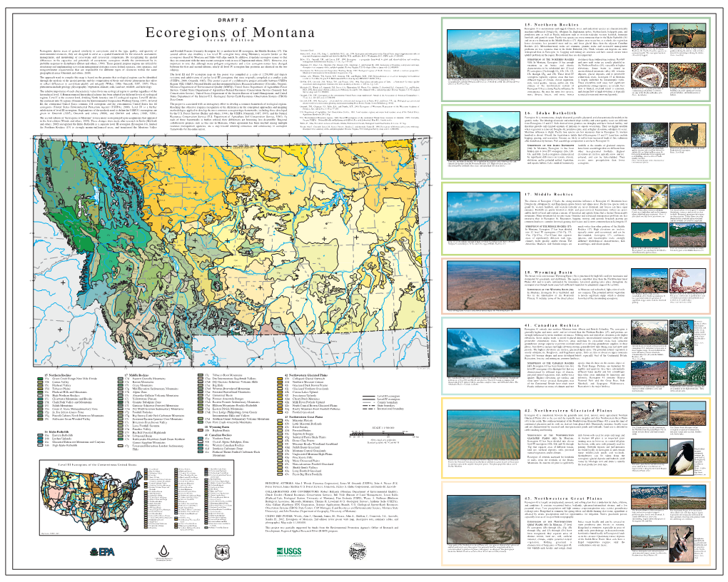 Level IV Ecoregions of Montana