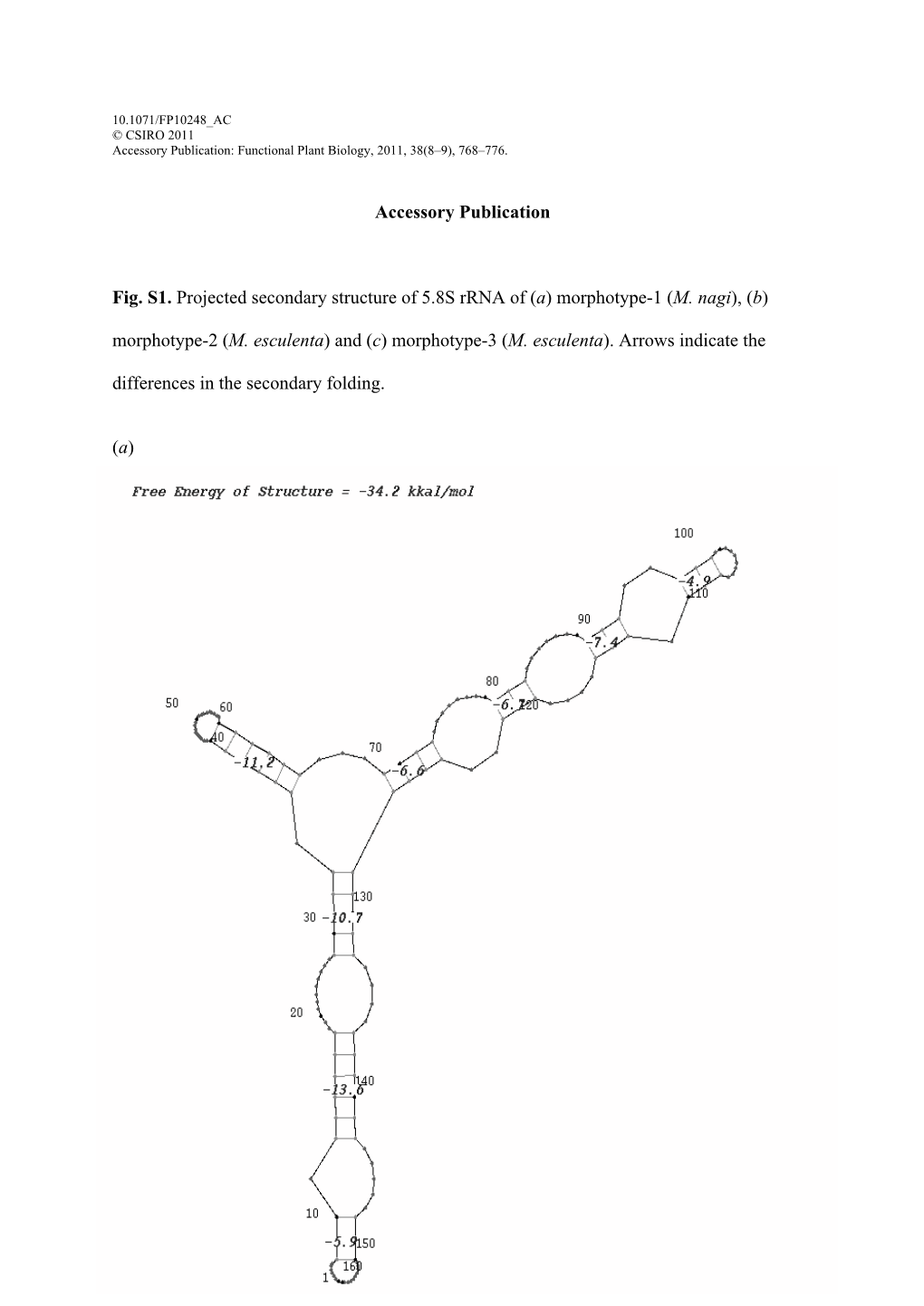 Accessory Publication Fig. S1. Projected Secondary Structure of 5.8