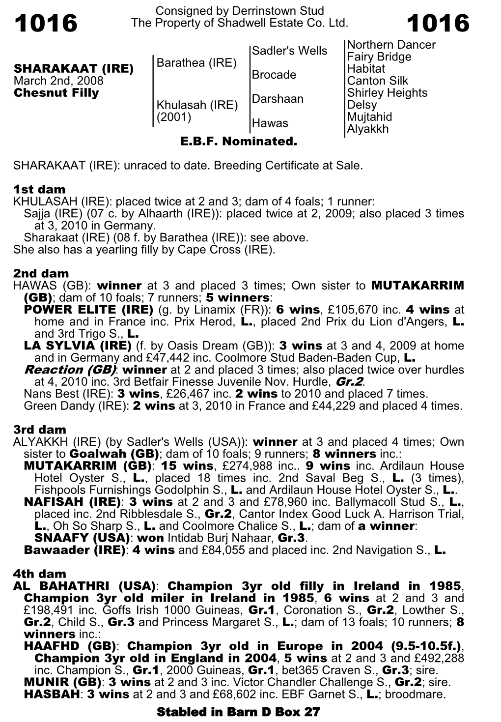 Consigned by Derrinstown Stud the Property of Shadwell Estate Co. Ltd