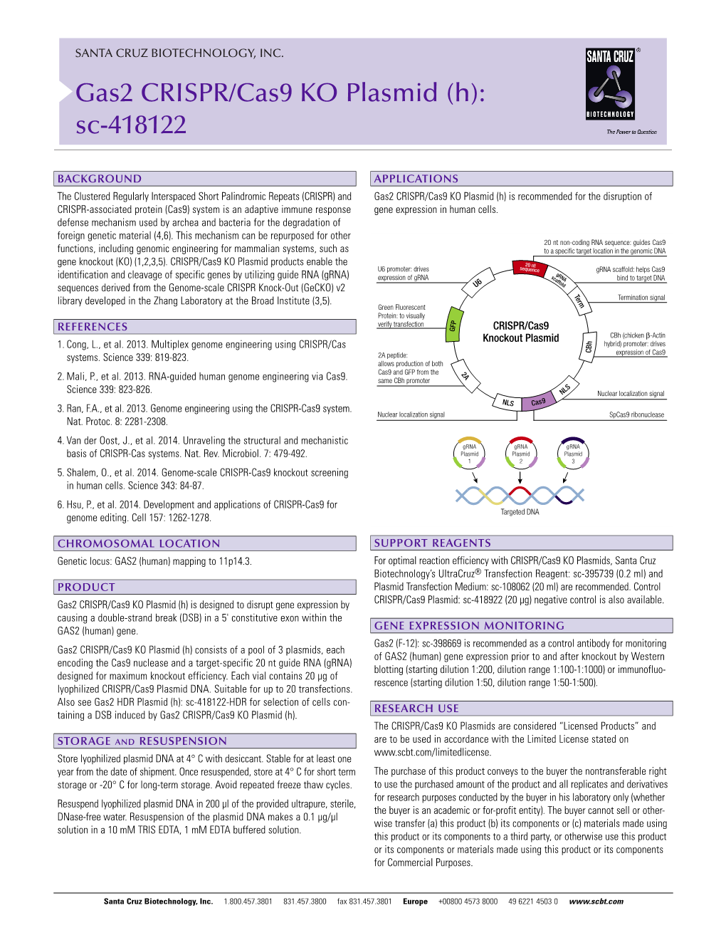 Gas2 CRISPR/Cas9 KO Plasmid (H): Sc-418122