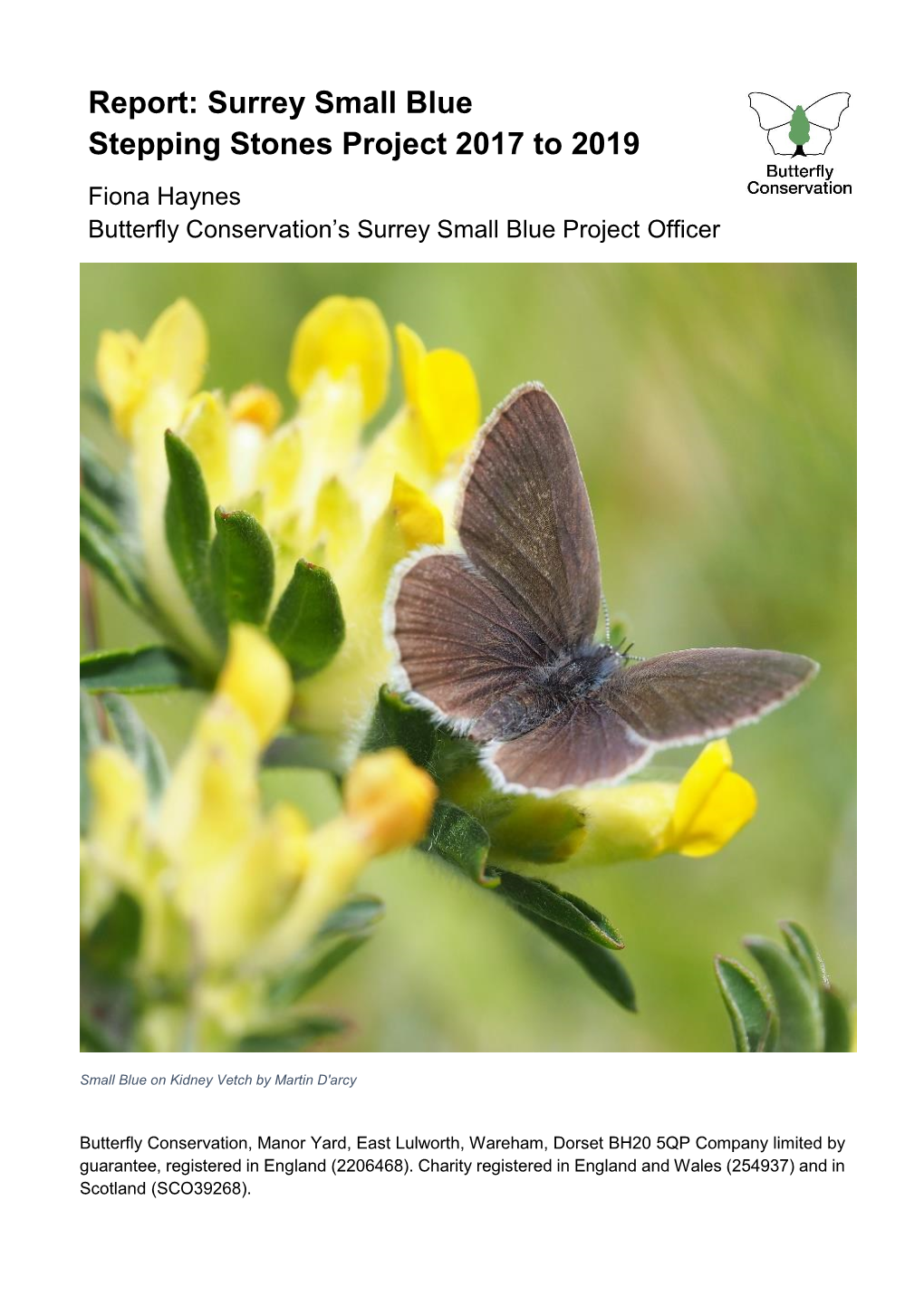 Surrey Small Blue Stepping Stones Project 2017 to 2019 Fiona Haynes Butterfly Conservation’S Surrey Small Blue Project Officer