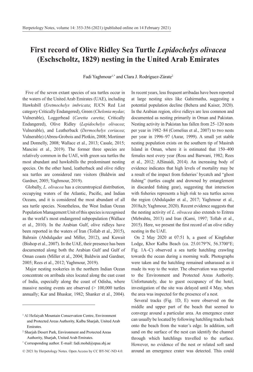 First Record of Olive Ridley Sea Turtle Lepidochelys Olivacea (Eschscholtz, 1829) Nesting in the United Arab Emirates