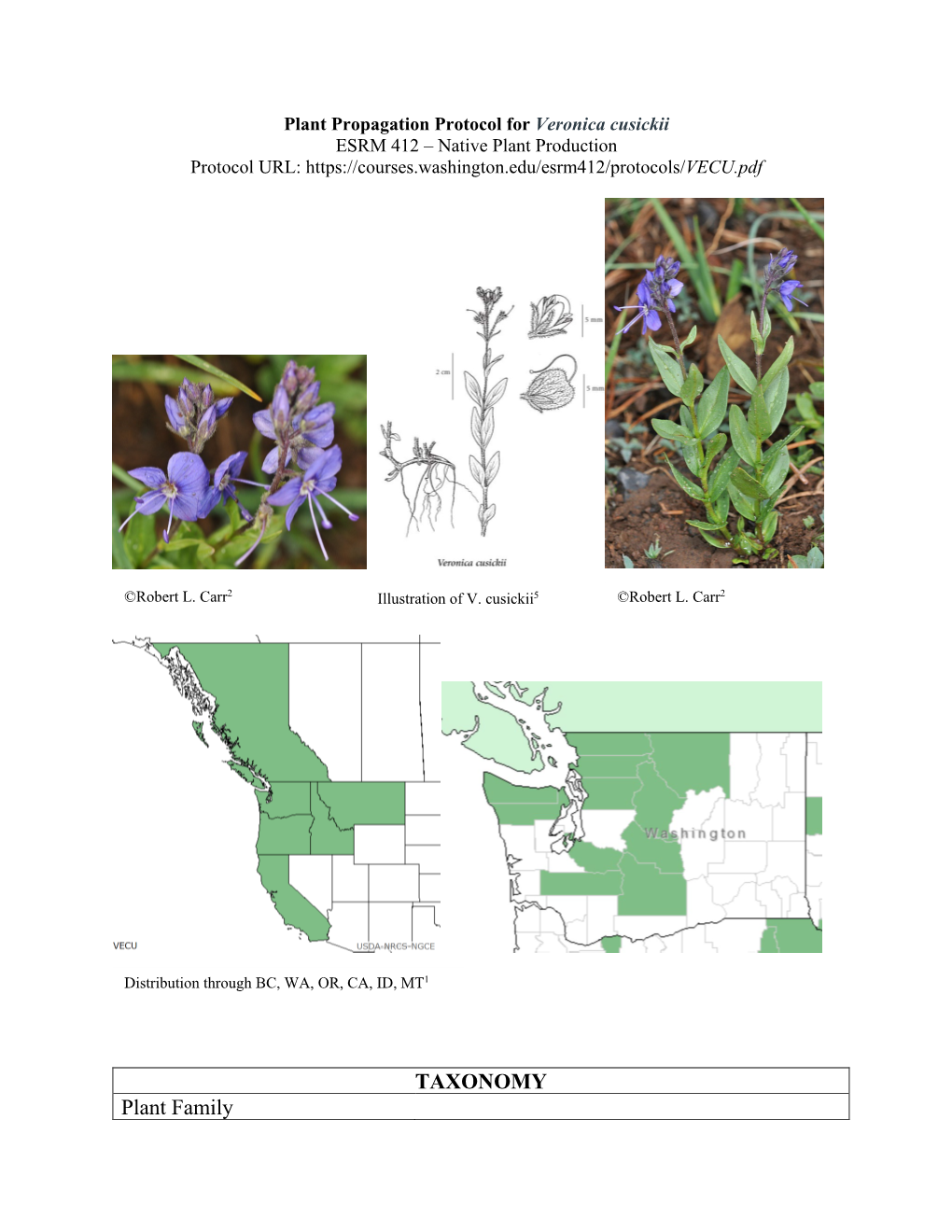 TAXONOMY Plant Family Scientific Name Scrophulariaceae Common Name Figwort Family Species Scientific Name Scientific Name Veronica Cusickii A