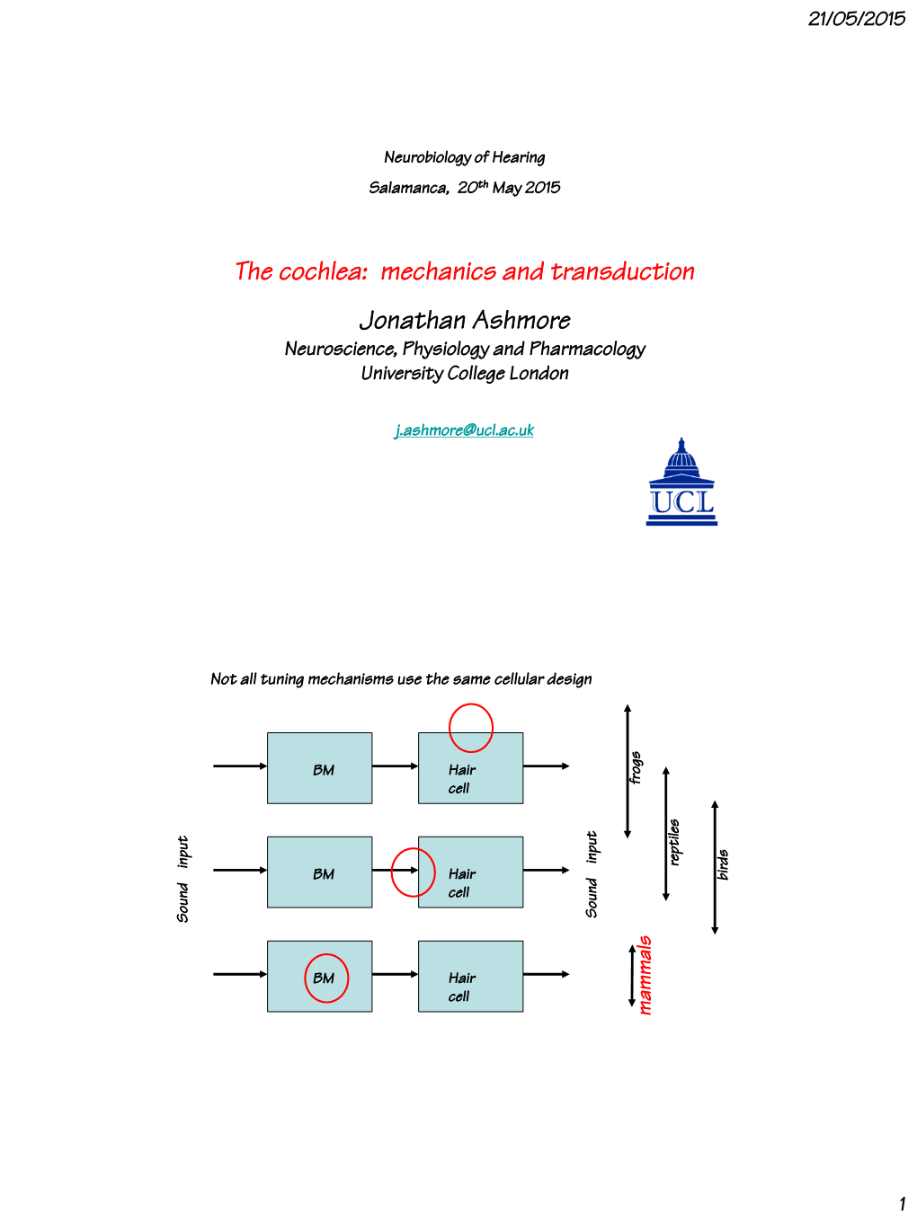 The Cochlea: Mechanics and Transduction Jonathan Ashmore Neuroscience, Physiology and Pharmacology University College London