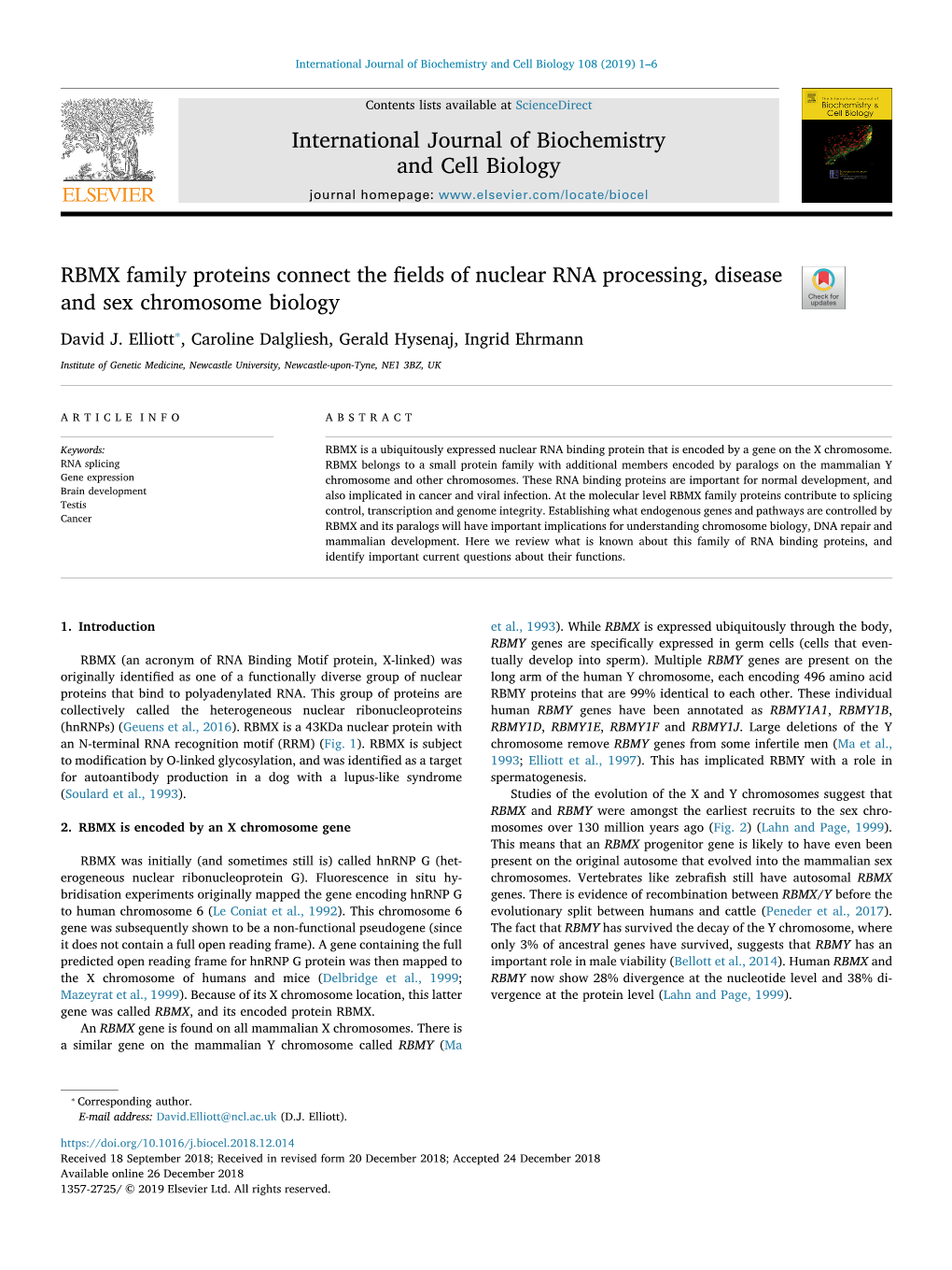 RBMX Family Proteins Connect the Fields of Nuclear RNA Processing