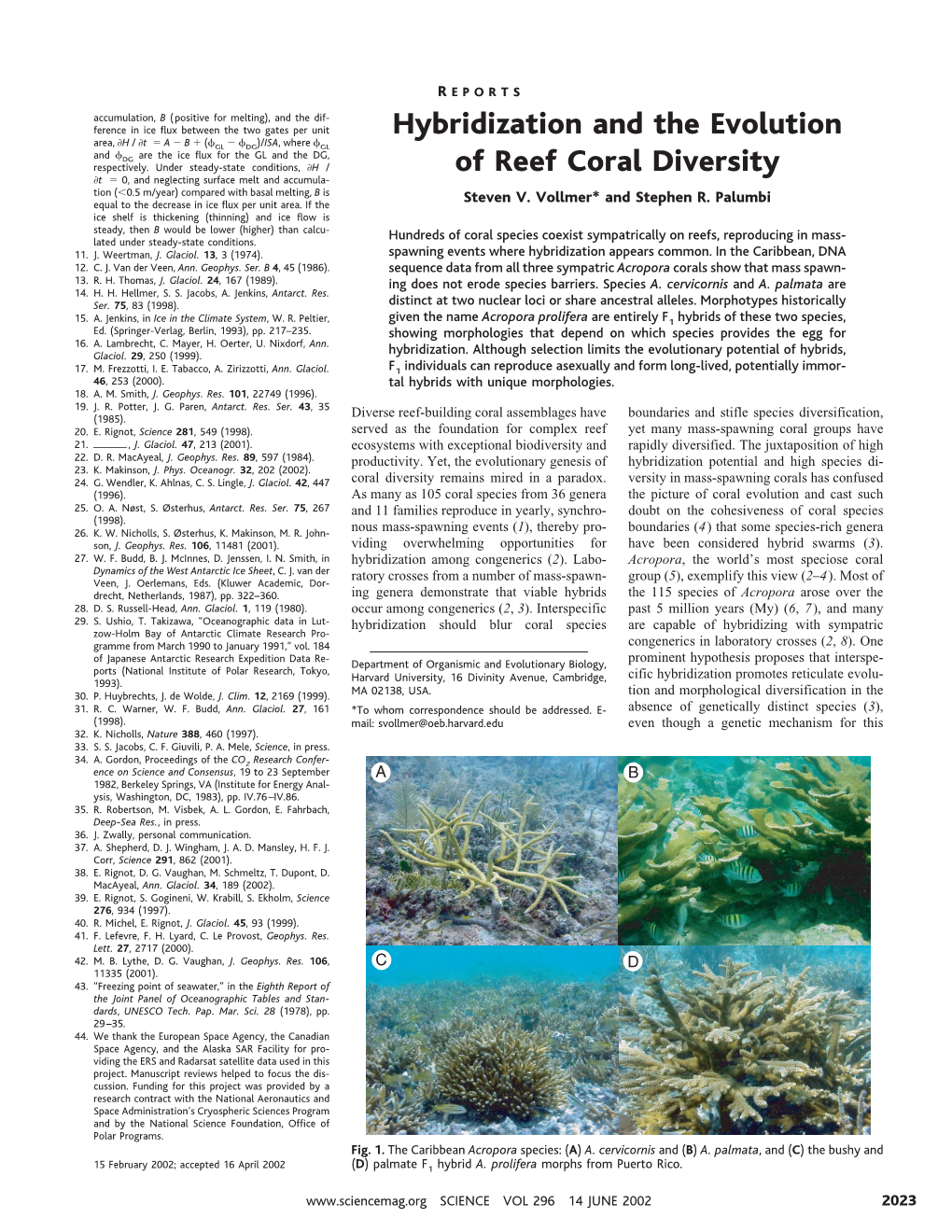 Hybridization and the Evolution of Reef Coral Diversity