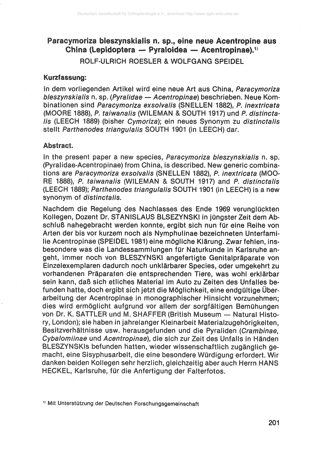 Paracymoriza Bleszynskialis N. Sp., Eine Neue Acentropine