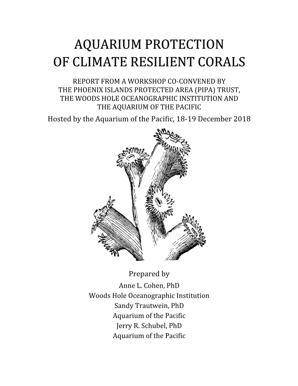 Aquarium Protection of Climate Resilient Corals