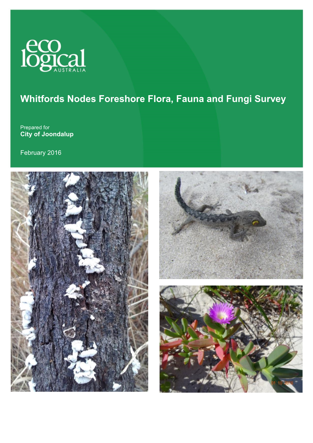Whitfords Nodes Foreshore Flora, Fauna and Fungi Survey