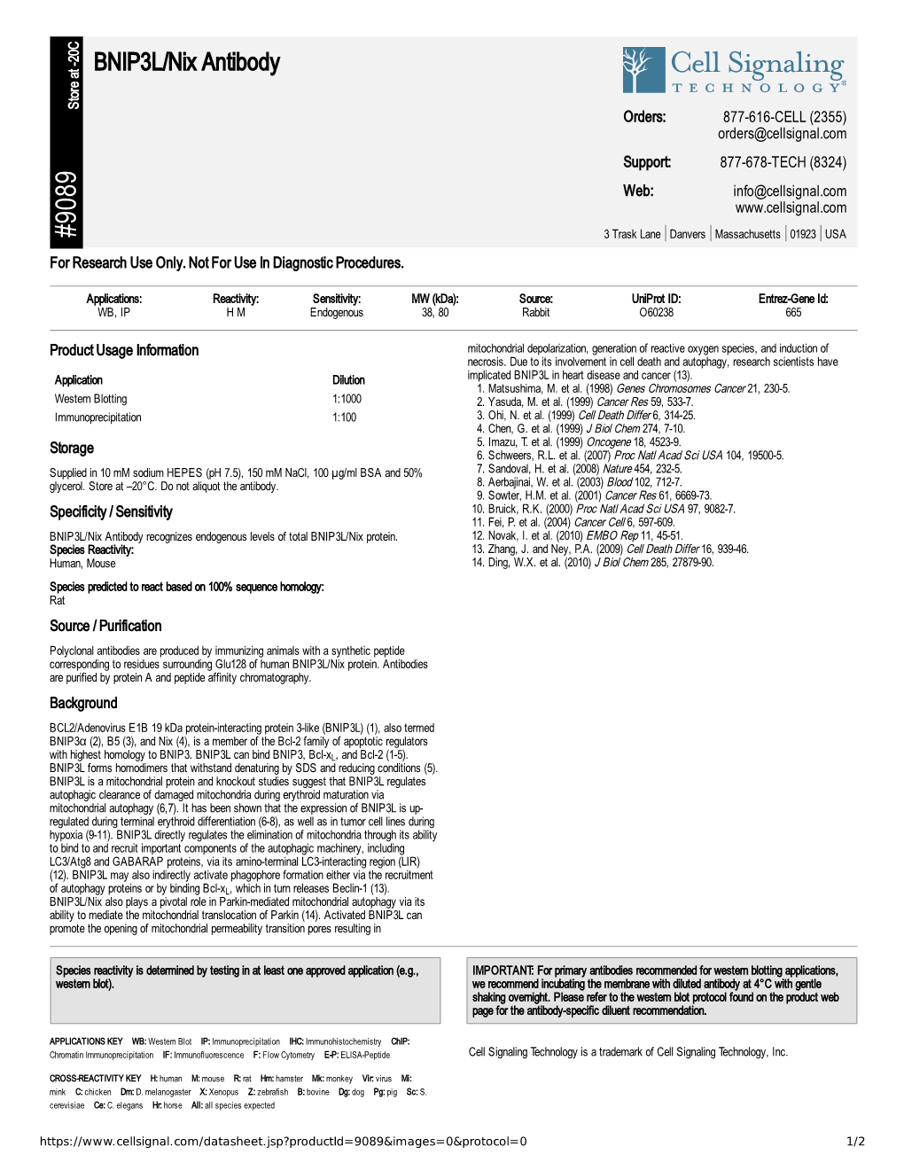 BNIP3L/Nix Antibody A