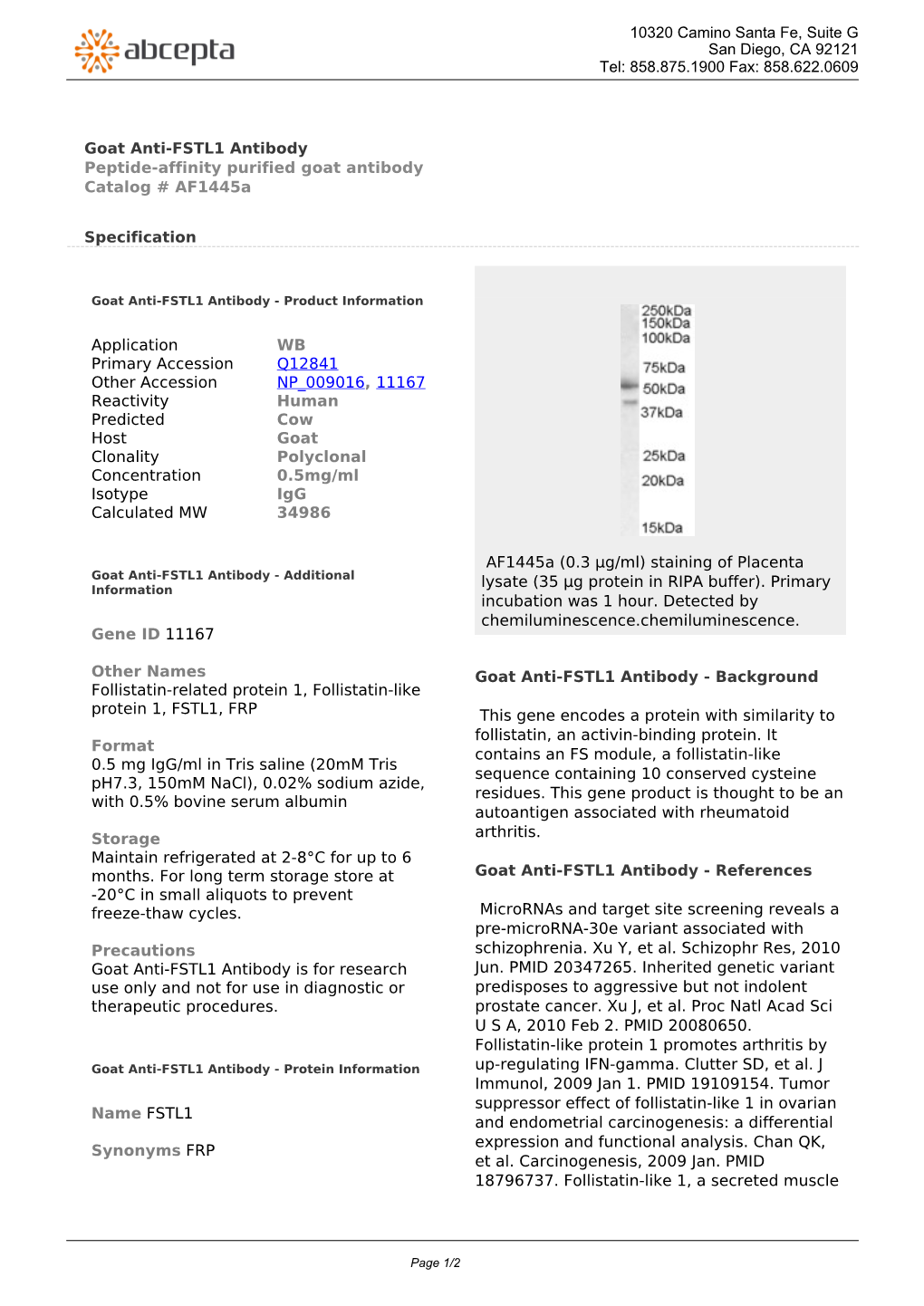 Goat Anti-FSTL1 Antibody Peptide-Affinity Purified Goat Antibody Catalog # Af1445a