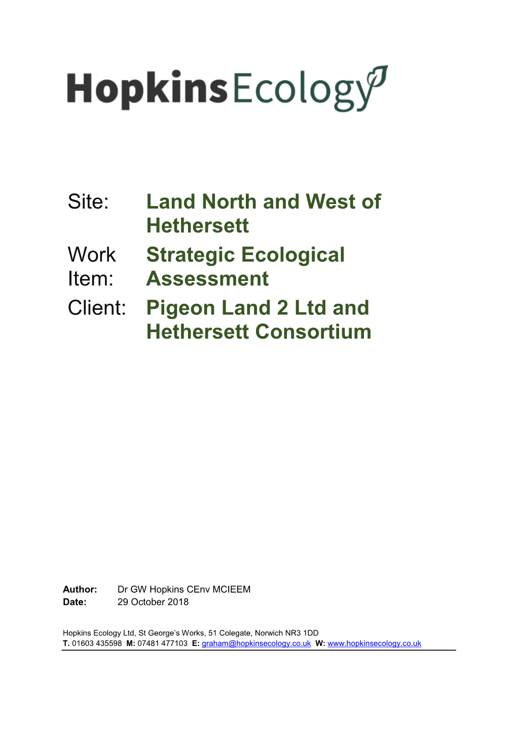Site: Land North and West of Hethersett Work Item