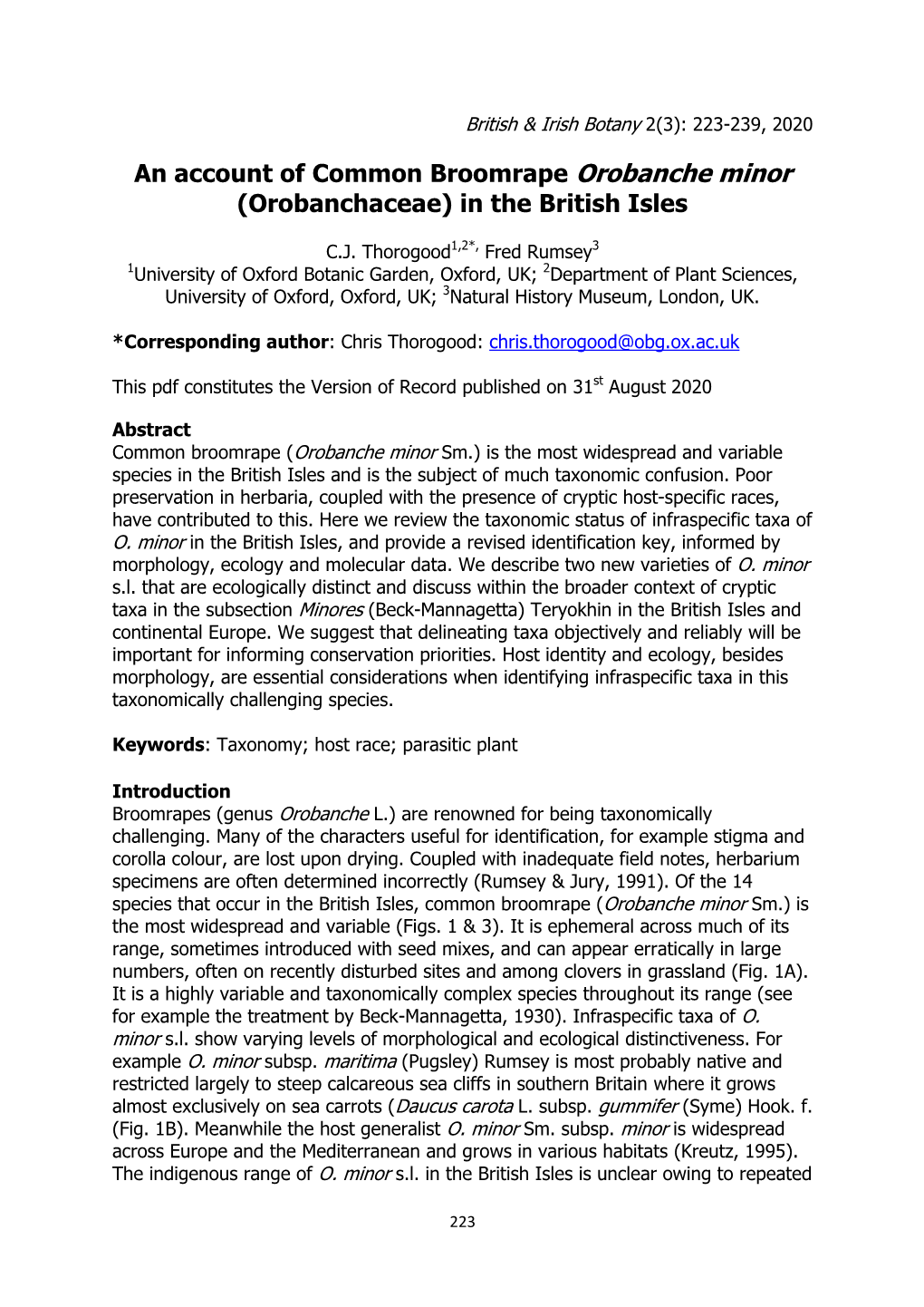 An Account of Common Broomrape Orobanche Minor (Orobanchaceae) in the British Isles