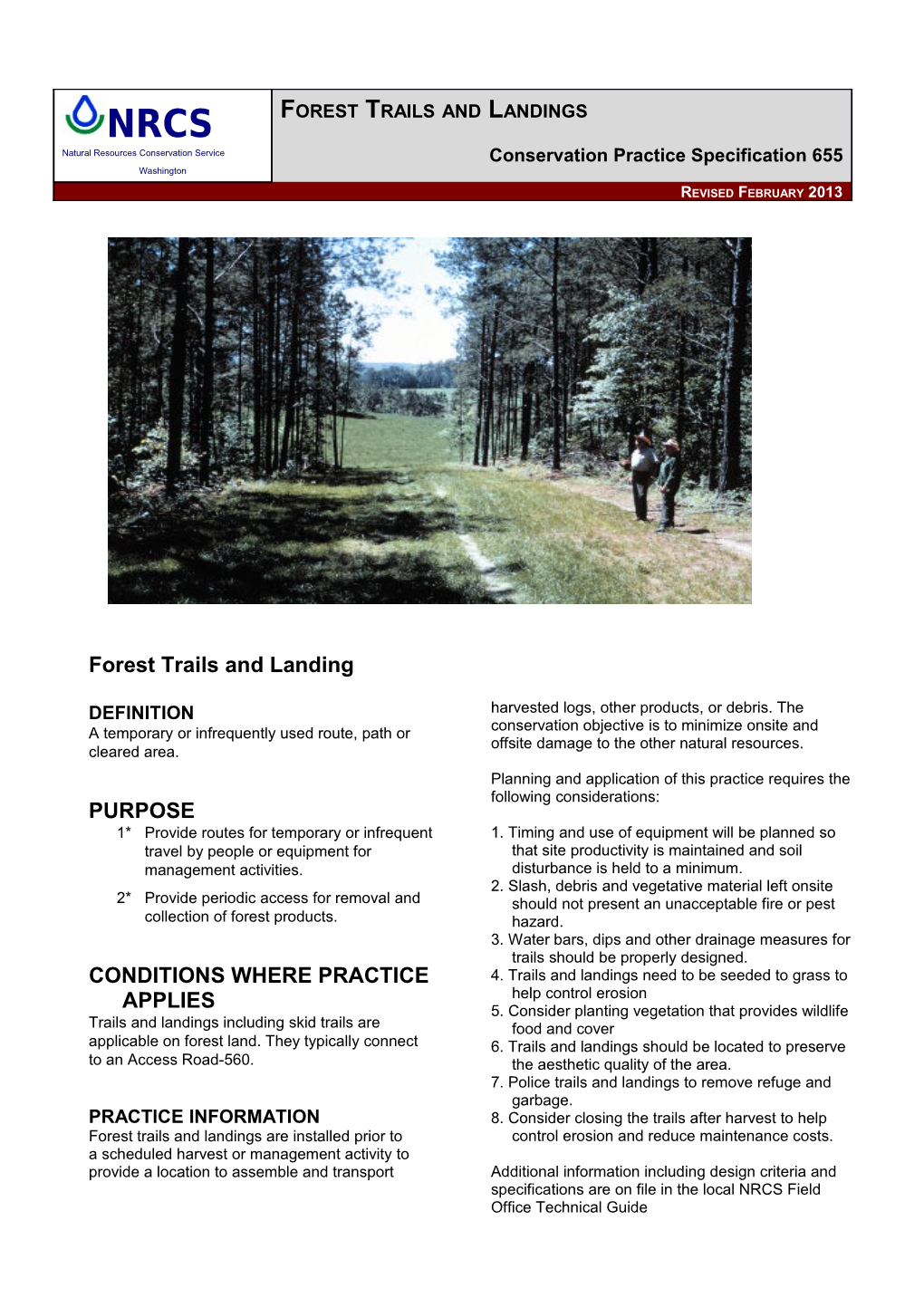 Forest Trails and Landings