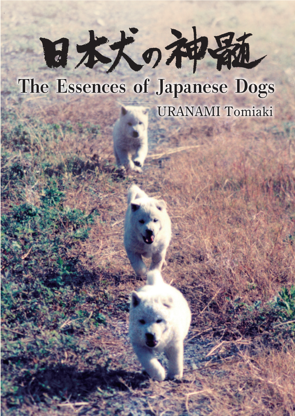 Dignity of Japanese Dogs …………………………………………………………………… 59