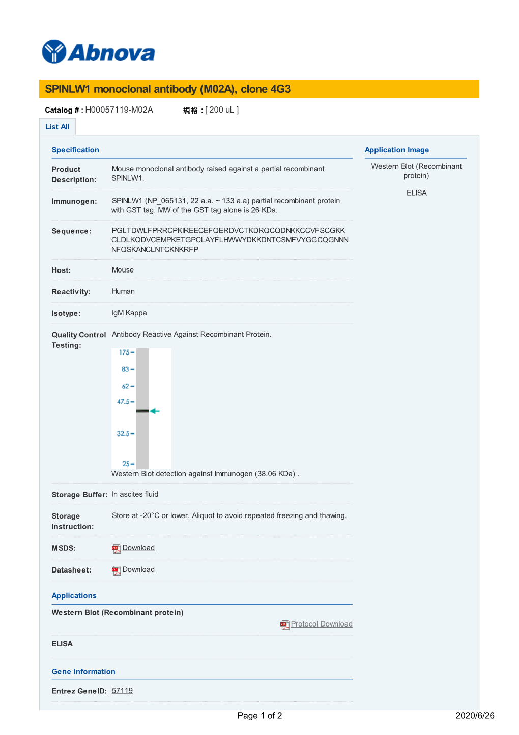 SPINLW1 Monoclonal Antibody (M02A), Clone 4G3