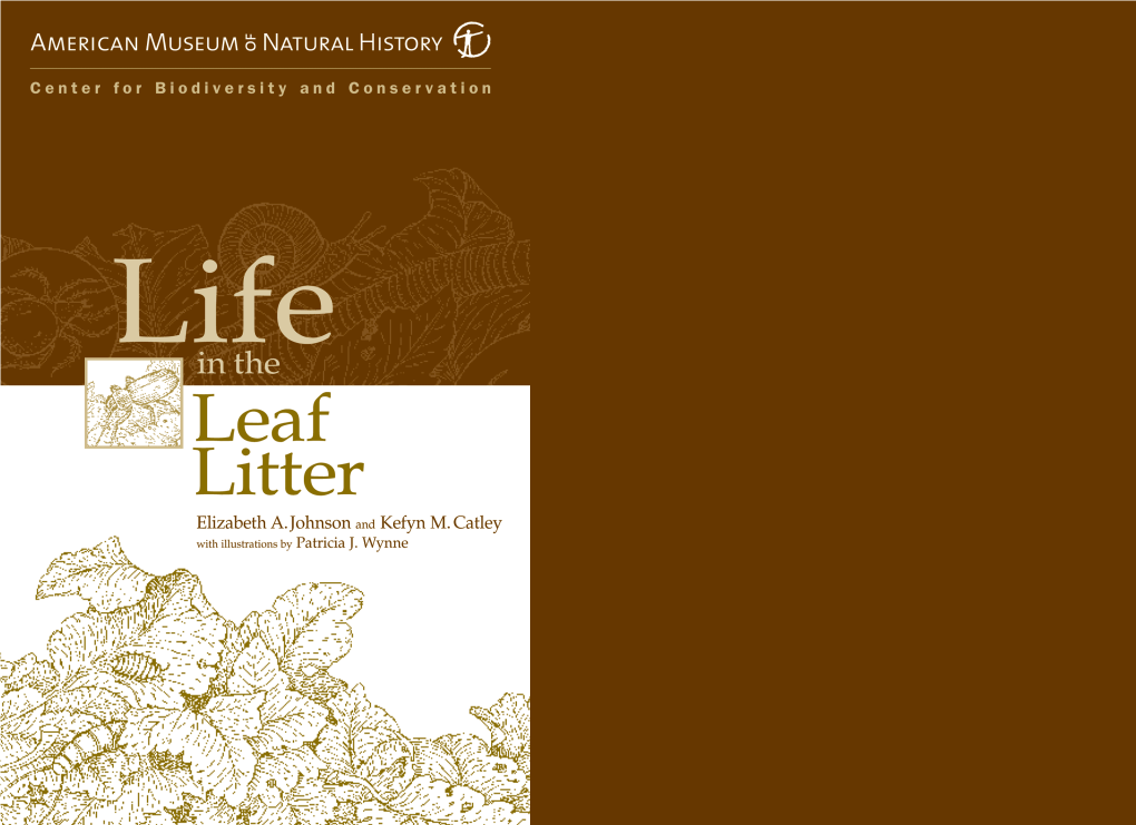 Life in the Leaf Litter Layer