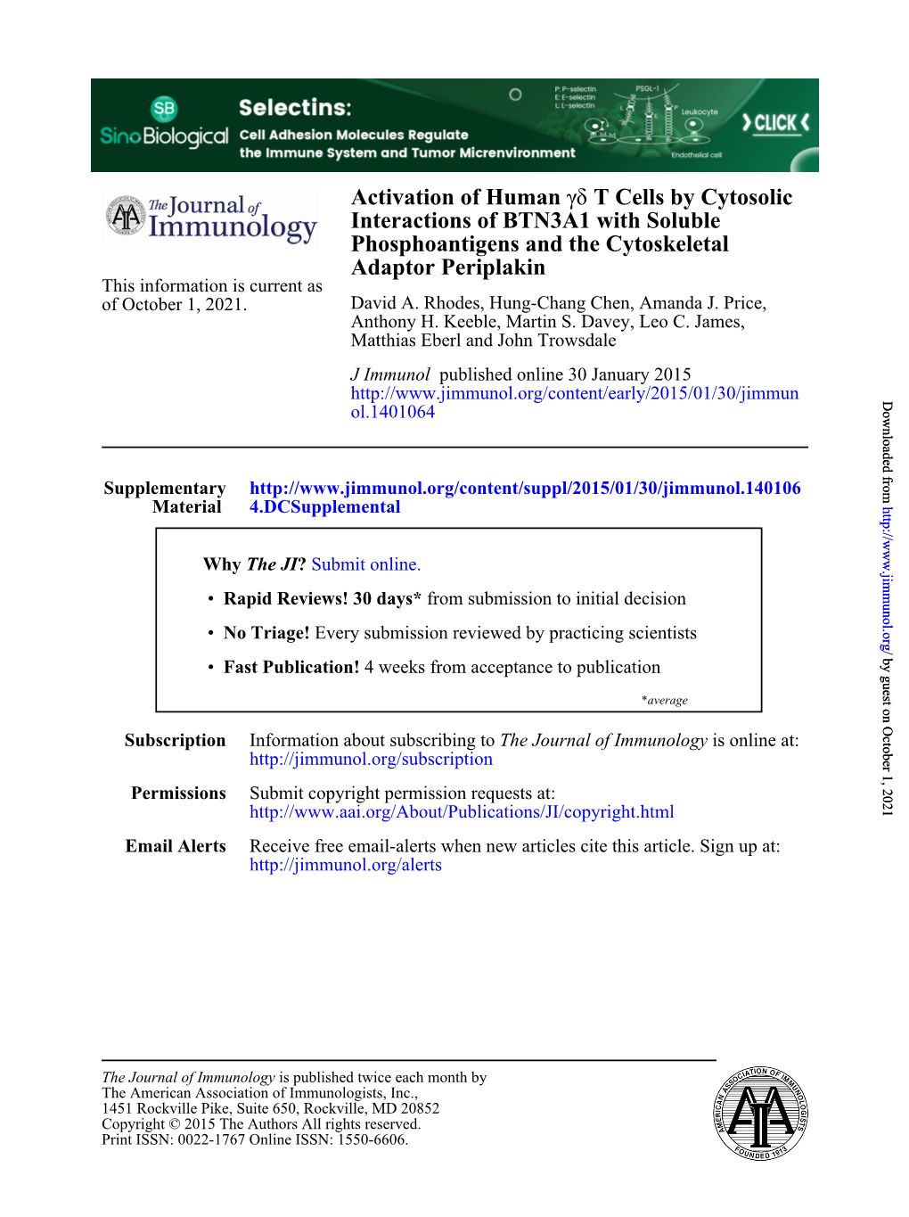 Adaptor Periplakin Phosphoantigens and the Cytoskeletal Interactions Of